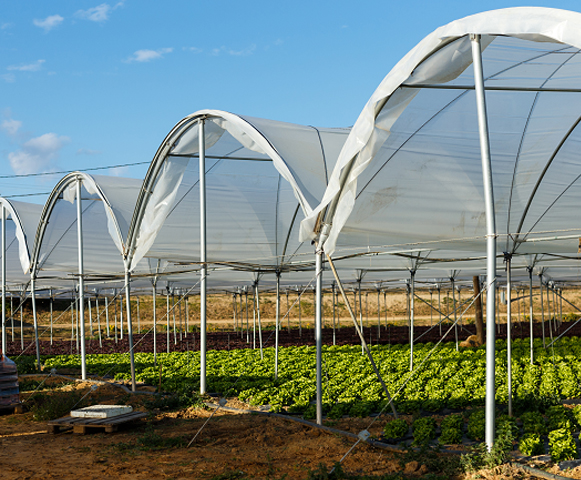 Flower Greenhouse Project