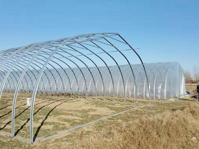 Tunnel Greenhouse