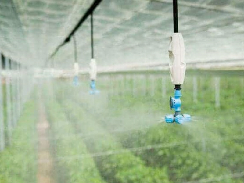 Learn about greenhouse watering systems and irrigation management