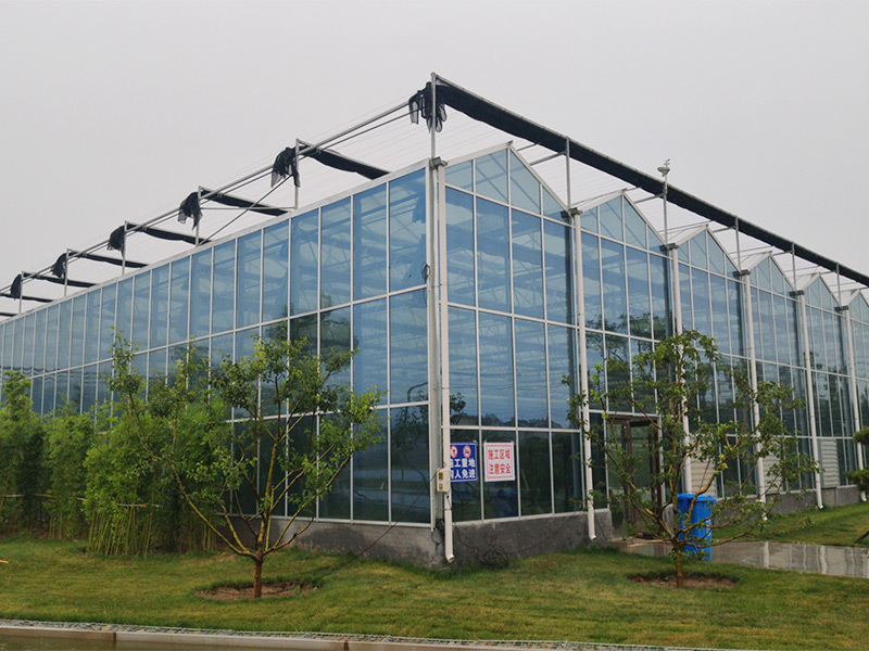 Greenhouse